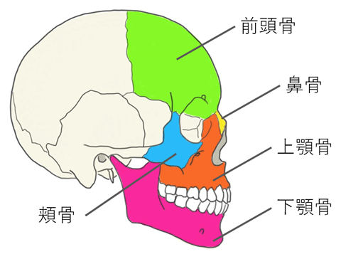 顔面骨骨折｜一般社団法人 日本頭蓋顎顔面外科学会